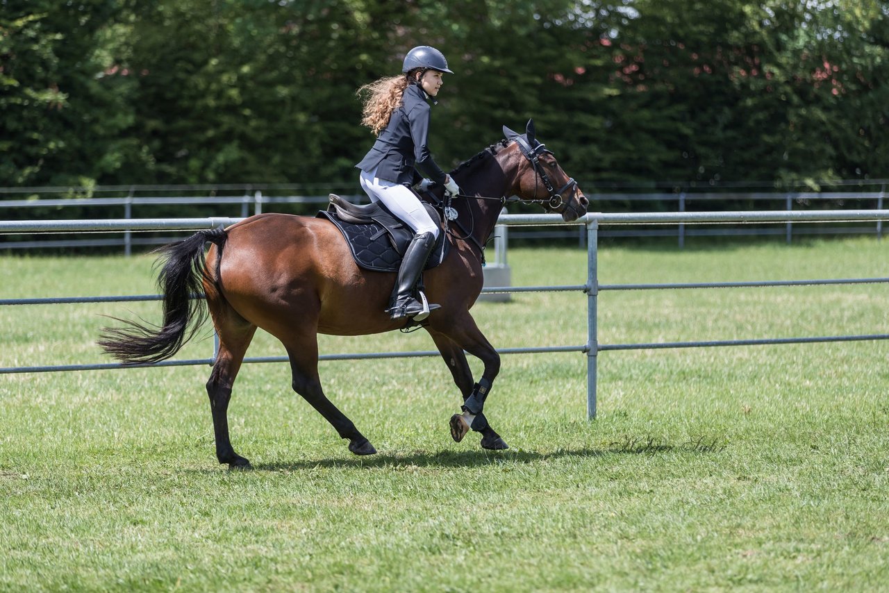 Bild 17 - Pony Akademie Turnier